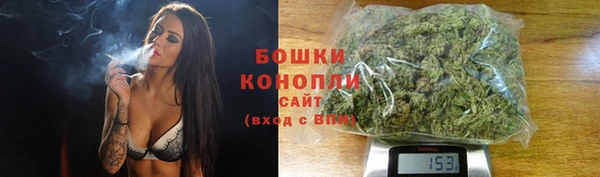 ECSTASY Армянск