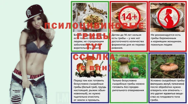 ECSTASY Армянск