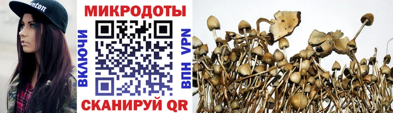 где купить   Суровикино  blacksprut рабочий сайт  Галлюциногенные грибы мухоморы 